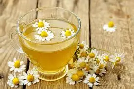 INFUSION CAMOMILLE